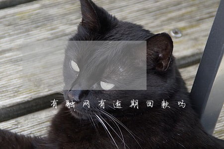 有融网有逾期回款吗 有融网有逾期回款吗