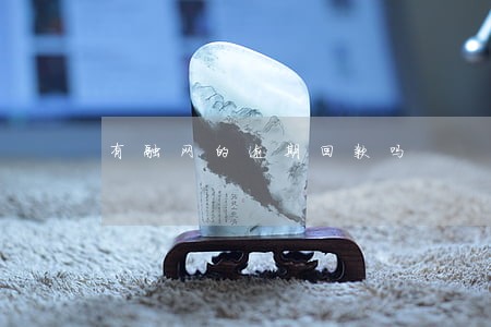 有融网的逾期回款吗 有融网的逾期回款吗