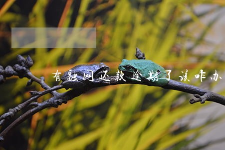 有融网还款逾期了该咋办 有融网还款逾期了该咋办