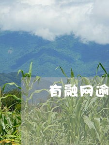 有融网逾期了能报警吗 有融网逾期了能报警吗