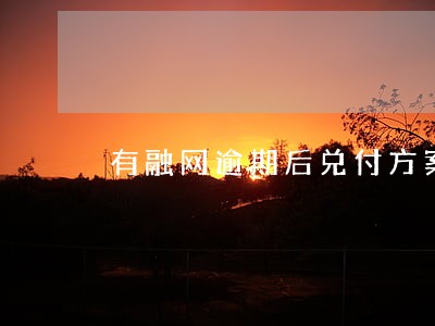有融网逾期后兑付方案 有融网逾期后兑付方案