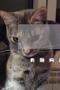 有融网逾期处置房价 有融网逾期处置房价