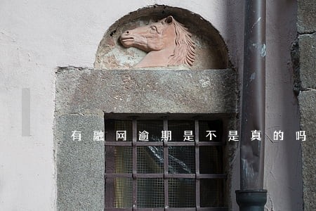 有融网逾期是不是真的吗 有融网逾期是不是真的吗