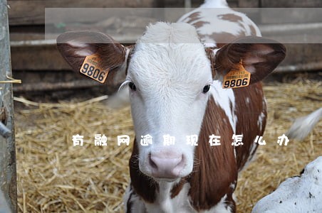 有融网逾期现在怎么办