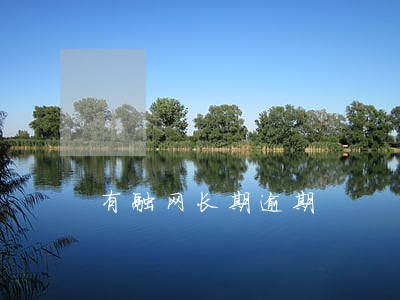 有融网长期逾期 有融网长期逾期