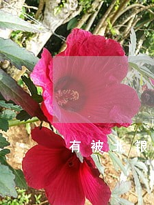 有被北银逾期诉讼的吗 有被北银逾期诉讼的吗