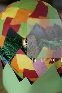 有证可以报考什么单位