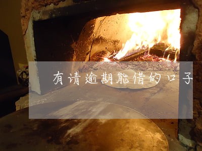 有请逾期能借的口子