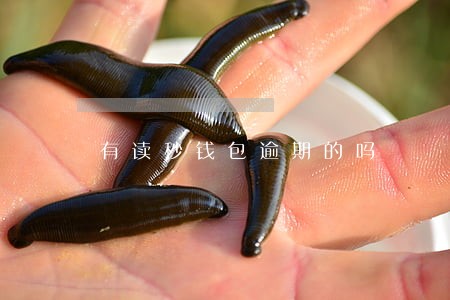 有读秒钱包逾期的吗 有读秒钱包逾期的吗