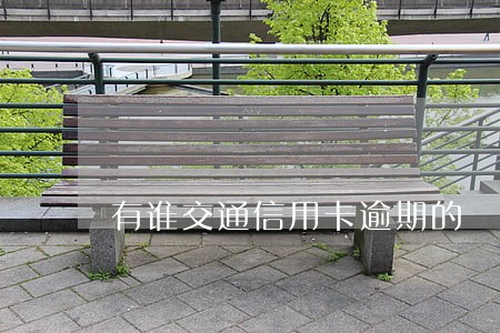 有谁交通信用卡逾期的 有谁交通信用卡逾期的