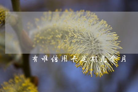 有谁信用卡逾期几个月 有谁信用卡逾期几个月
