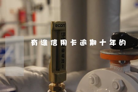 有谁信用卡逾期十年的