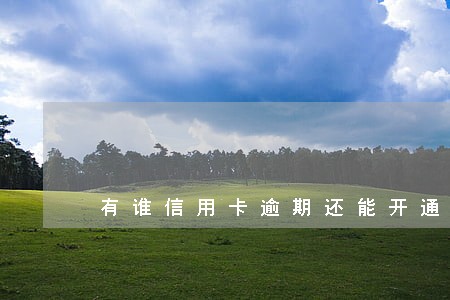 有谁信用卡逾期还能开通借呗的