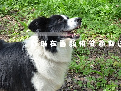 有谁在喜鹊快贷逾期过三个月吗 有谁在喜鹊快贷逾期过三个月吗