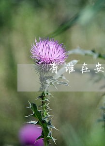 有谁在安逸花逾期超过30天的 有谁在安逸花逾期超过30天的