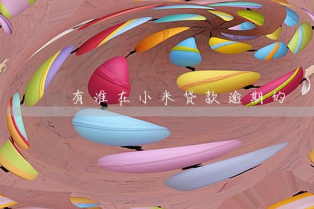有谁在小米贷款逾期的