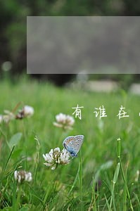 有谁在小花钱包逾期没被爆的