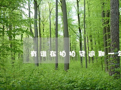 有谁在拍拍贷逾期一年以上的 有谁在拍拍贷逾期一年以上的