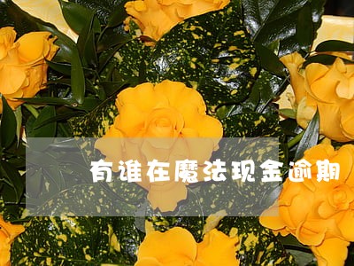 有谁在魔法现金逾期 有谁在魔法现金逾期
