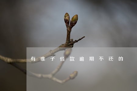 有谁子借款逾期不还的