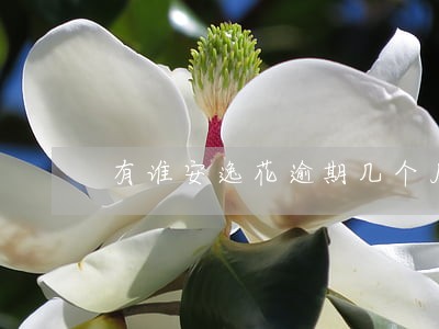 有谁安逸花逾期几个月 有谁安逸花逾期几个月