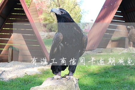 有谁工商信用卡逾期减免成功的
