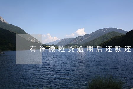 有谁微粒贷逾期后还款还能用吗 有谁微粒贷逾期后还款还能用吗
