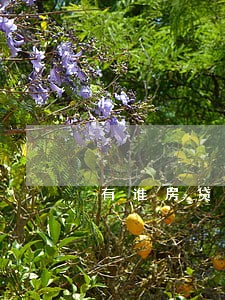 有谁房贷逾期一年的吗 有谁房贷逾期一年的吗