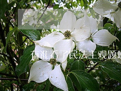 有谁看了民法主观题班