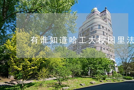 有谁知道哈工大校园里法院街 有谁知道哈工大校园里法院街