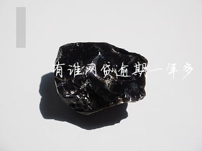 有谁网贷逾期一年多 有谁网贷逾期一年多