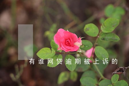 有谁网贷逾期被上诉的 有谁网贷逾期被上诉的