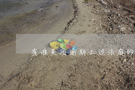 有谁美团逾期上过法庭的 有谁美团逾期上过法庭的
