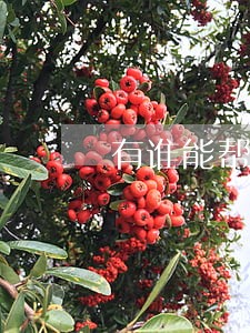 有谁能帮忙消除逾期 有谁能帮忙消除逾期