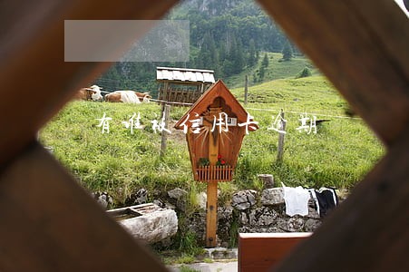 有谁被信用卡逾期 有谁被信用卡逾期