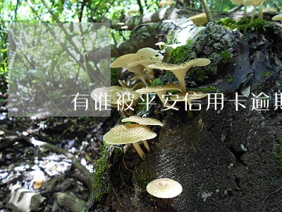 有谁被平安信用卡逾期拘留的 有谁被平安信用卡逾期拘留的