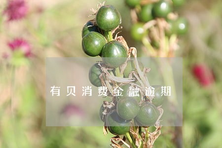 有贝消费金融逾期 有贝消费金融逾期