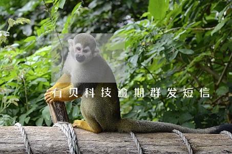 有贝科技逾期群发短信 有贝科技逾期群发短信