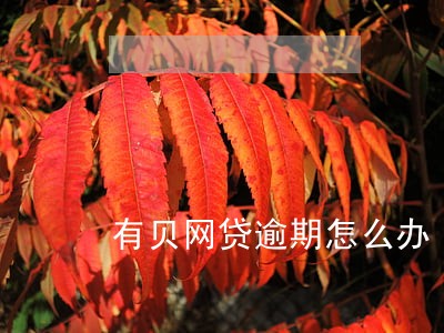 有贝网贷逾期怎么办 有贝网贷逾期怎么办