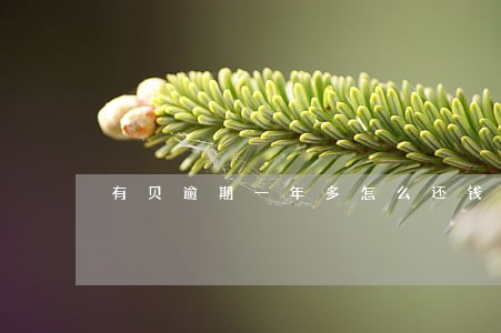 有贝逾期一年多怎么还钱