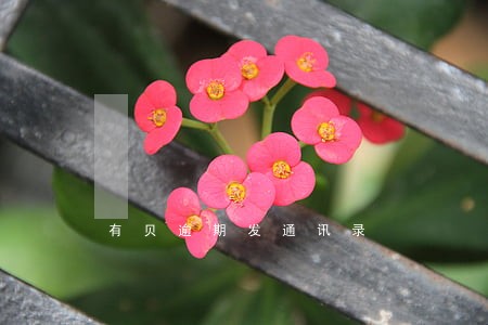 有贝逾期发通讯录 有贝逾期发通讯录