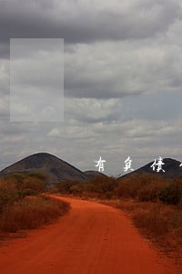 有负债但是从没逾期 有负债但是从没逾期