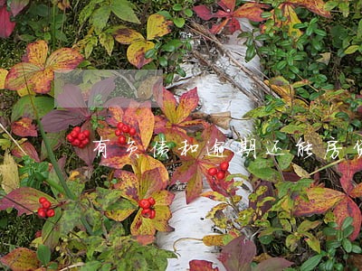 有负债和逾期还能房贷吗 有负债和逾期还能房贷吗