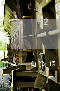 有负债无逾期 有负债无逾期