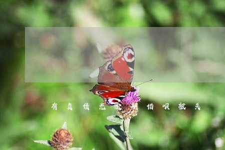 有负债无逾期借呗被关 有负债无逾期借呗被关