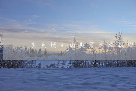 有负债无逾期可以放款的 有负债无逾期可以放款的