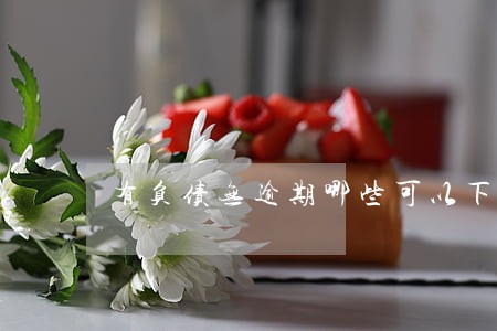 有负债无逾期哪些可以下款 有负债无逾期哪些可以下款