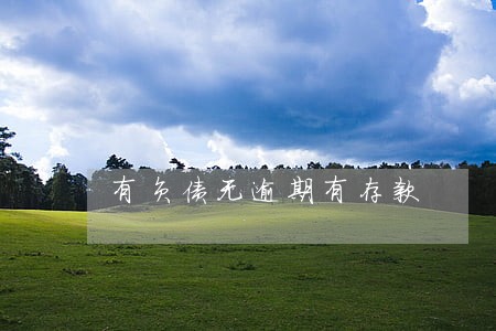 有负债无逾期有存款 有负债无逾期有存款