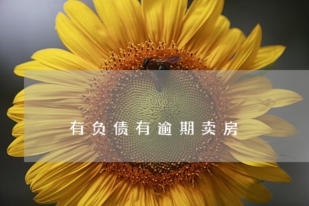 有负债有逾期卖房 有负债有逾期卖房