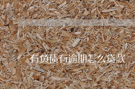 有负债有逾期怎么贷款 有负债有逾期怎么贷款